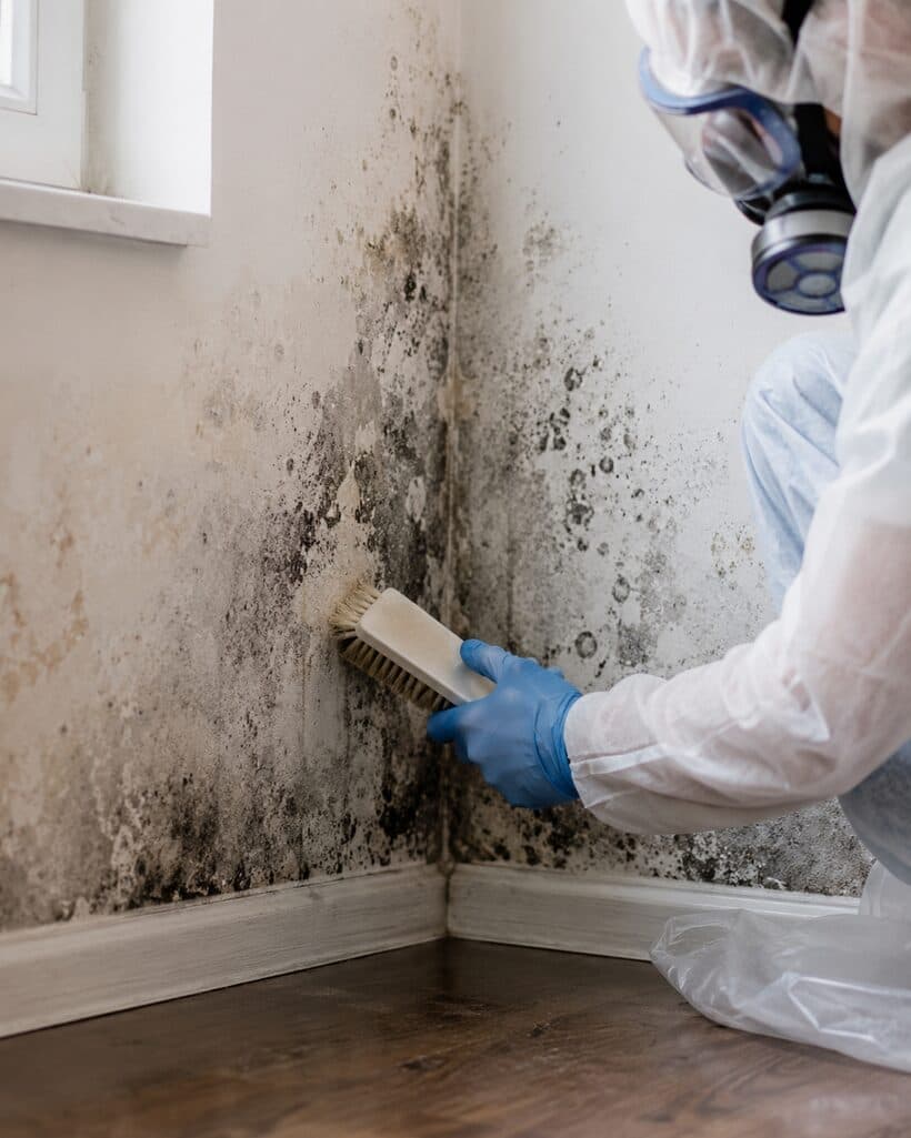Signs of Mold in Your Home (And What to Do)