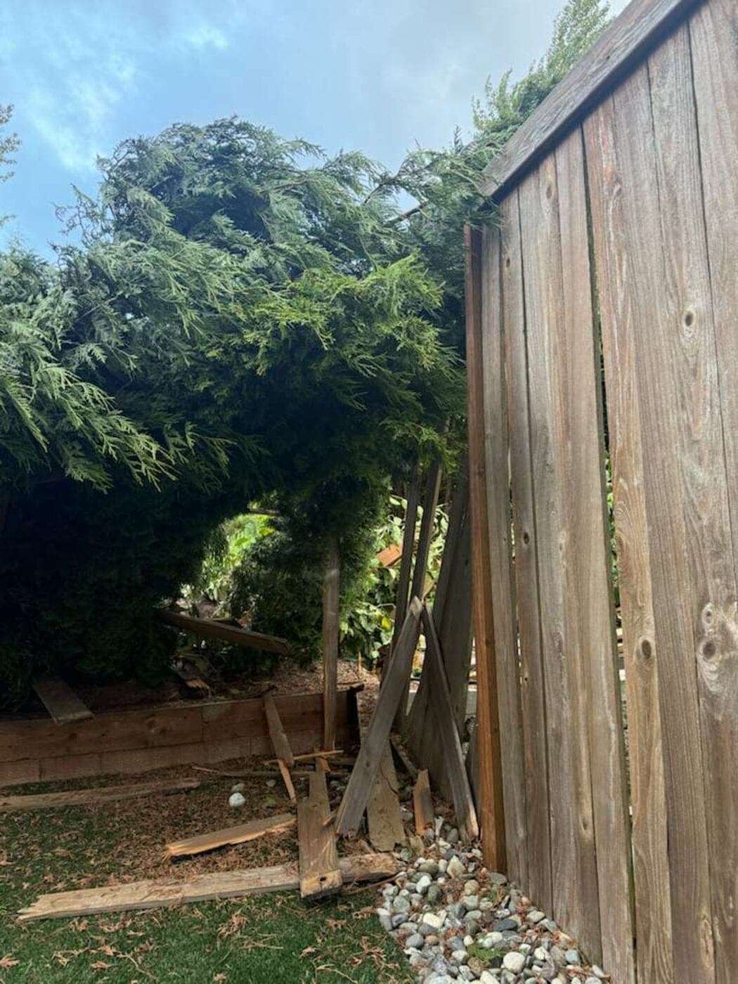 Backyard & Fence Rebuild before