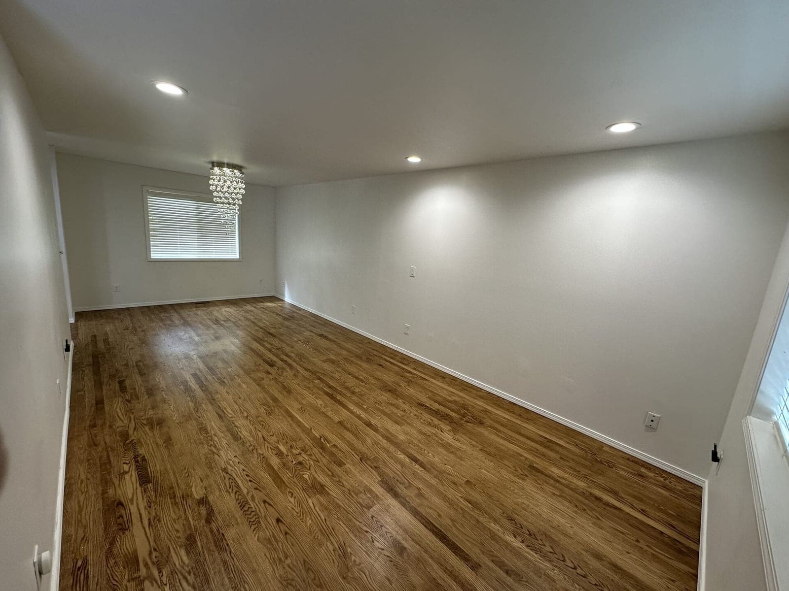Water Damage Restoration in Kirkland, WA: What Locals Should Know