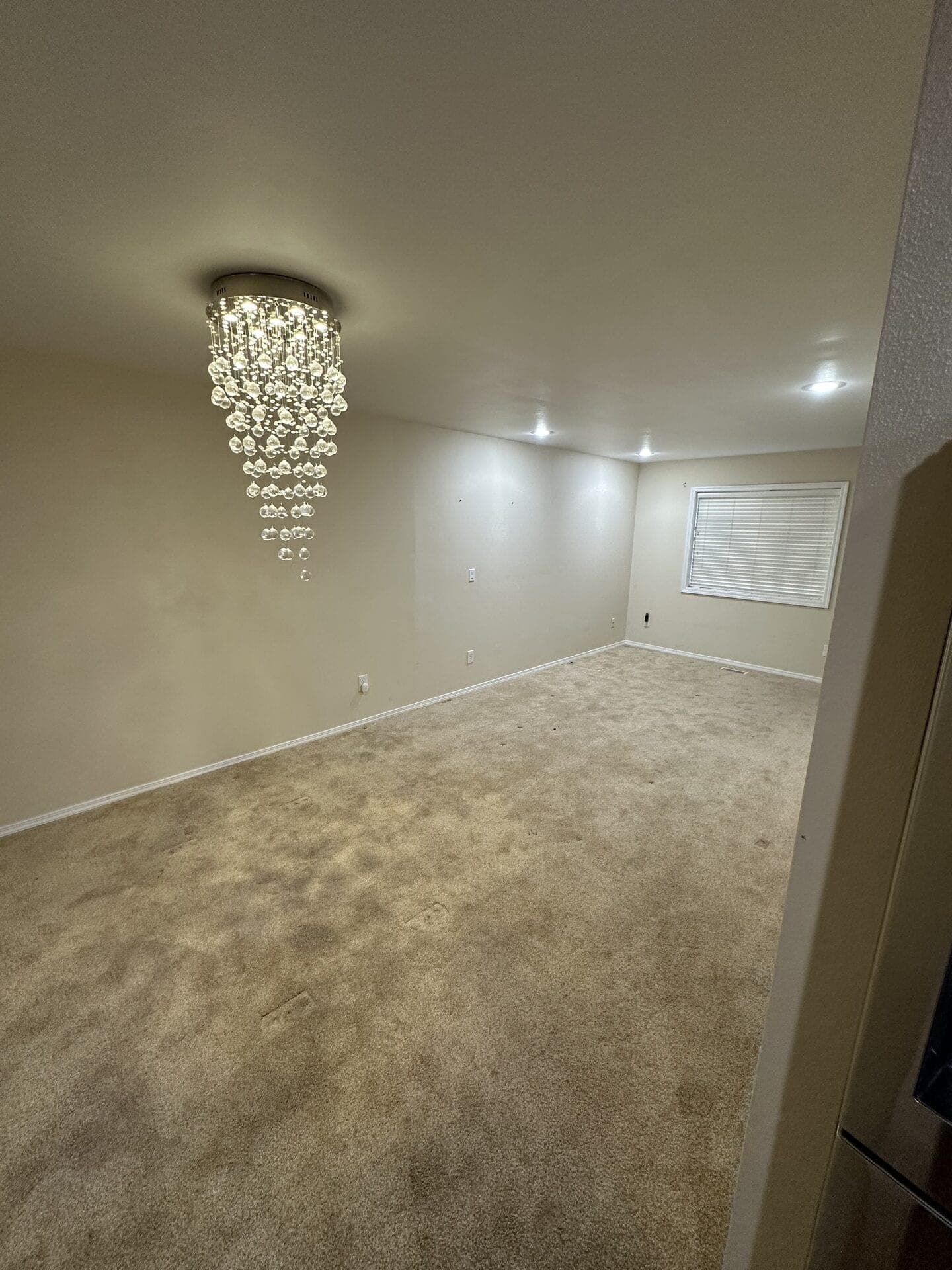 Water Damage Restoration in Woodinville, WA: What You Need to Know